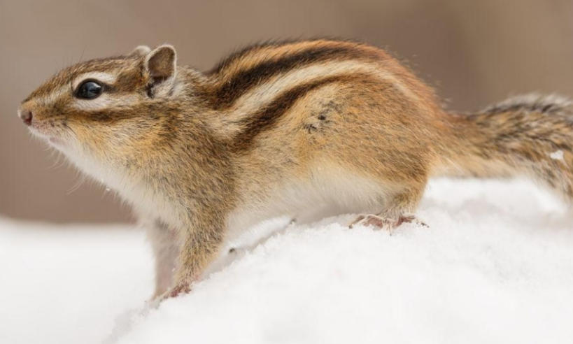 北京培训壹点教育咨询公司轮播图5