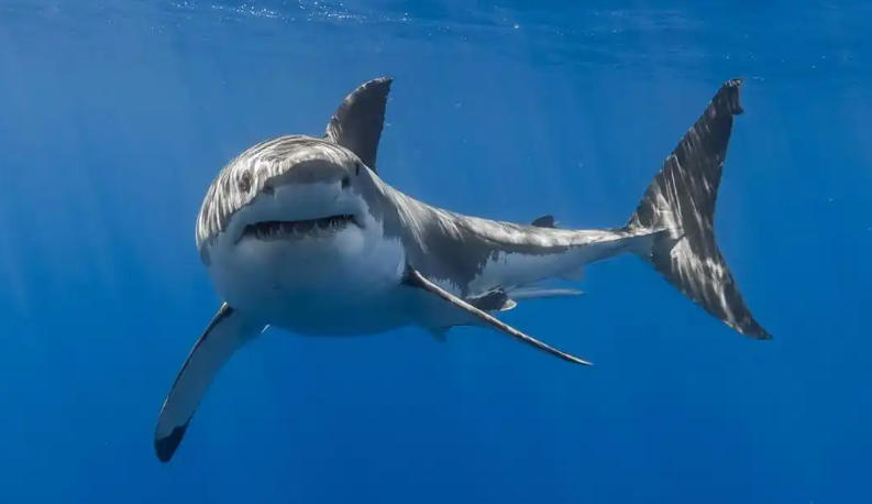 北京培训壹点教育咨询公司轮播图3