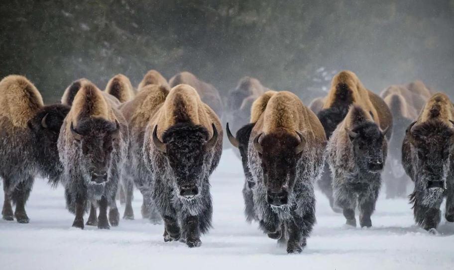 北京培训壹点教育咨询公司轮播图2